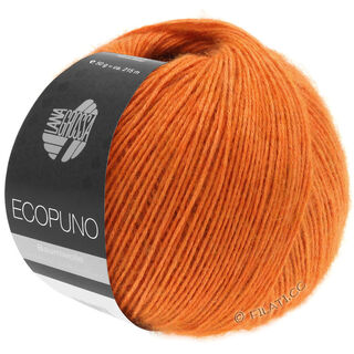 Lana Grossa ECOPUNO